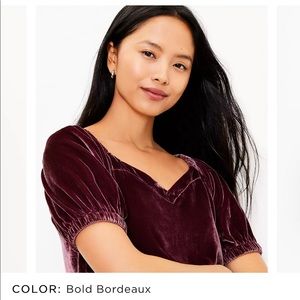 LOFT Velvet Top - Rose